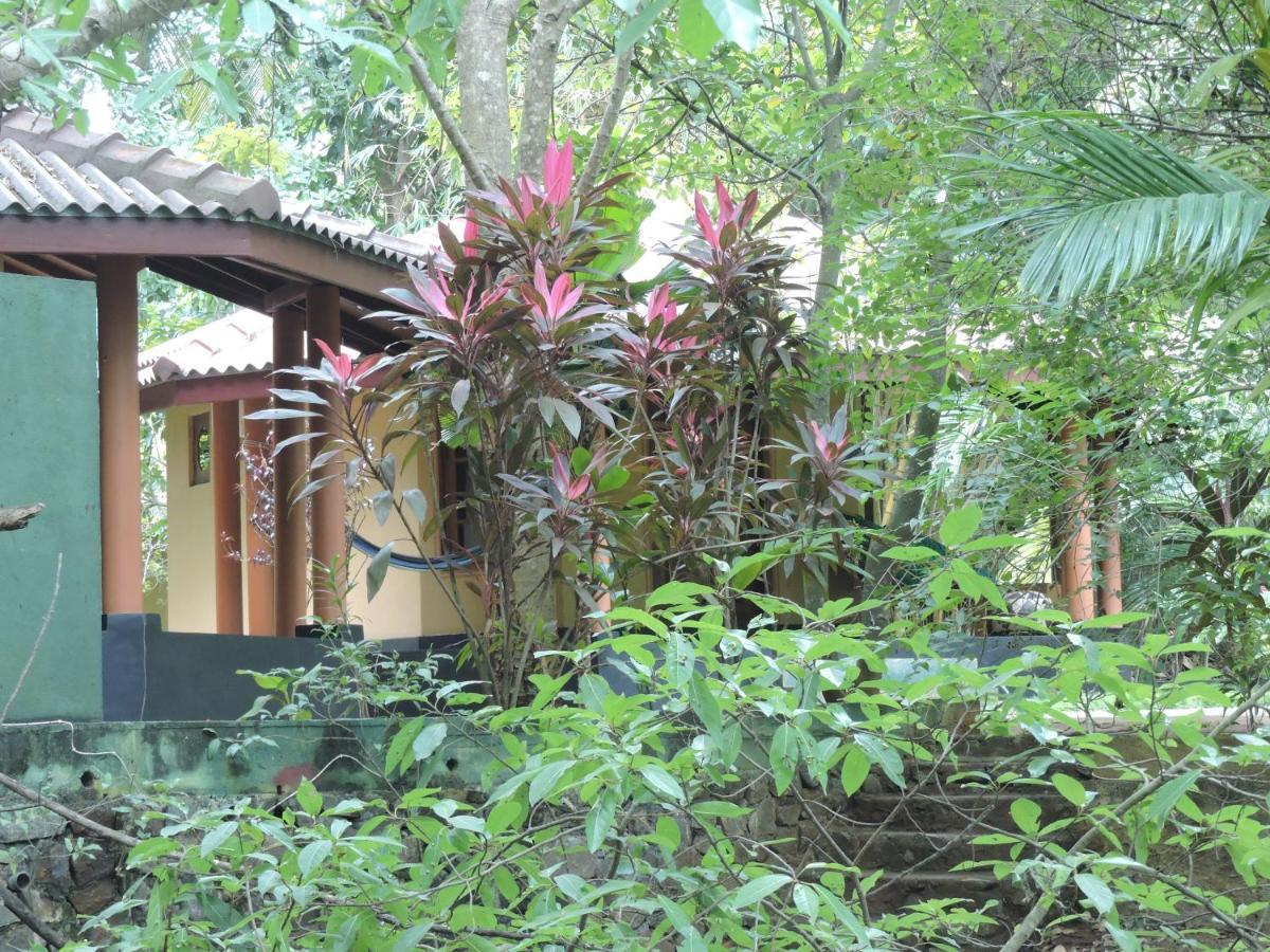 Richards Cabanas Tissamaharama Exteriér fotografie