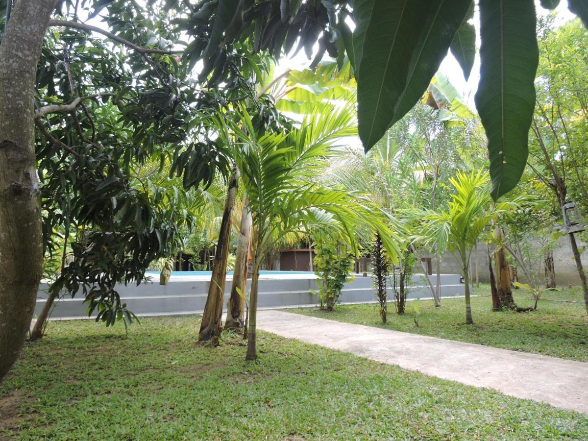 Richards Cabanas Tissamaharama Exteriér fotografie